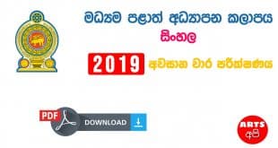 Advanced Level Central Provincial Final Term Test Paper Sinhala Grade 13 2019